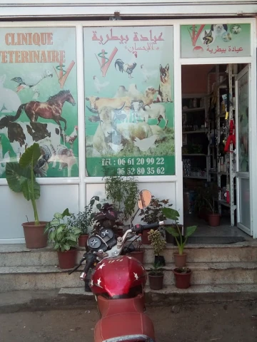 EL KOUDIA