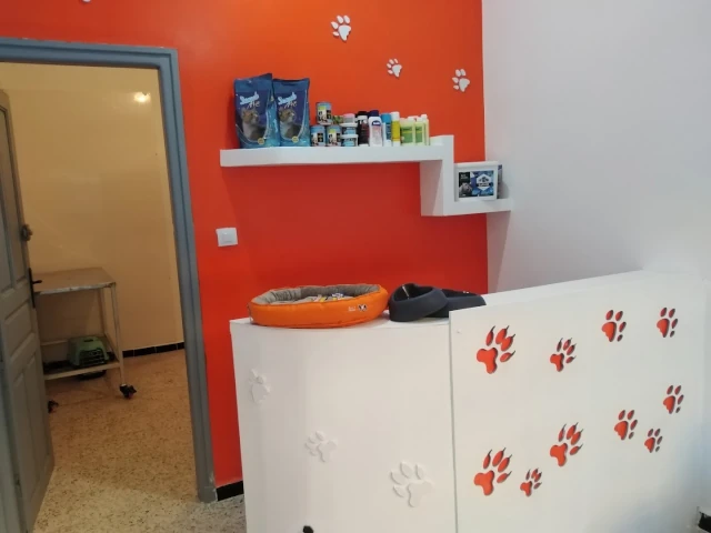 Cabinet ZB VÉTO