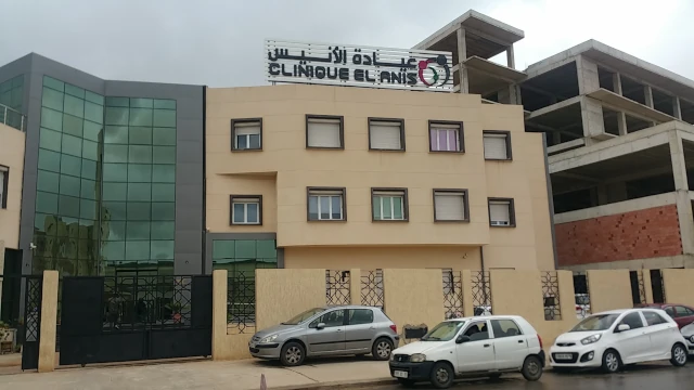 EL ANIS