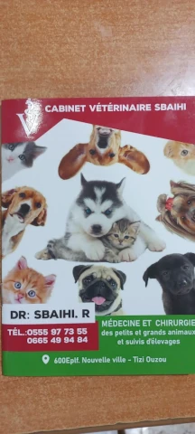 Docteur SBAIHI