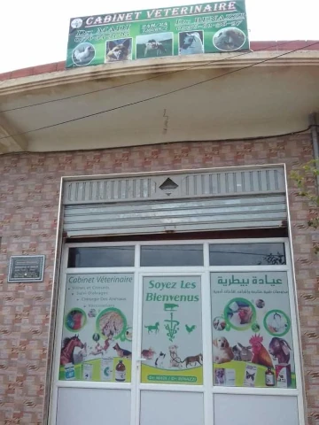 NADJIB BEN AZZI
