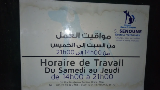Docteur SENOUNE  HANA EL BAYTER
