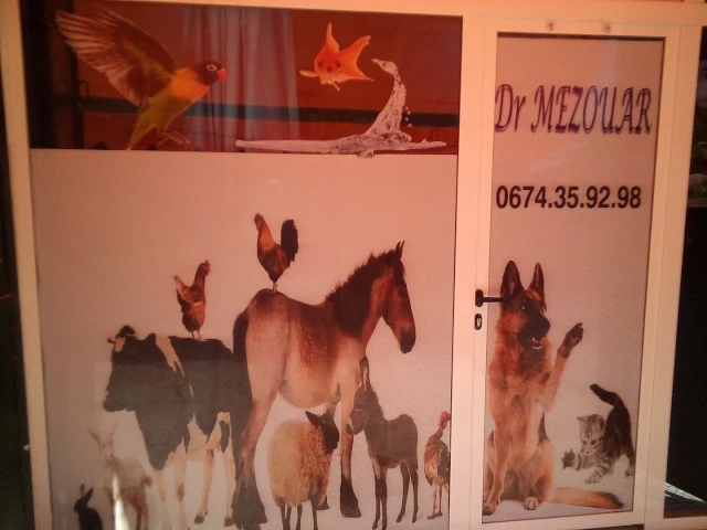 Docteur KAMEL MEZOUAR