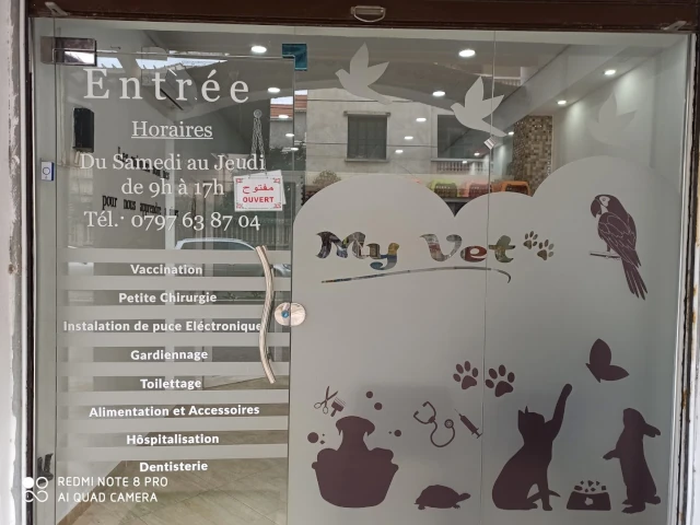 MY VET