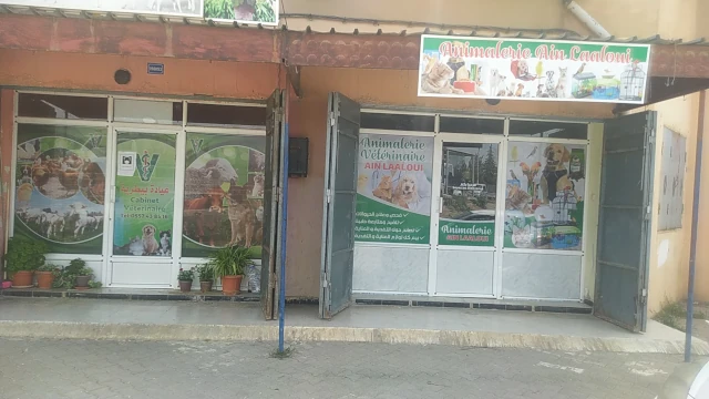 Docteur ABDEDOU
