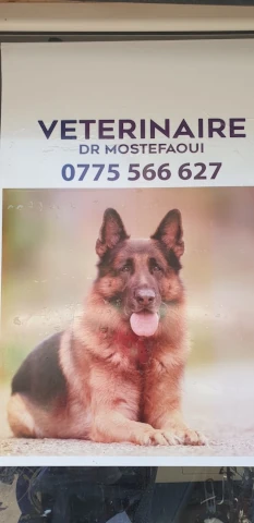 MOSTEFAOUI