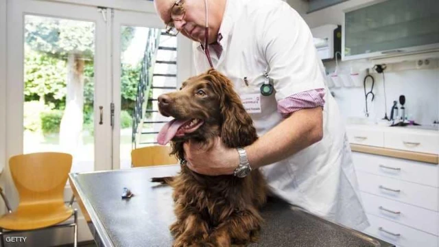Docteur BOURAS