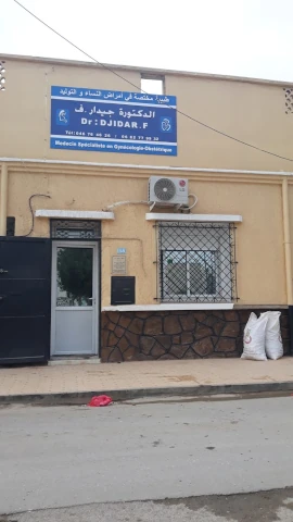 DJIDAR