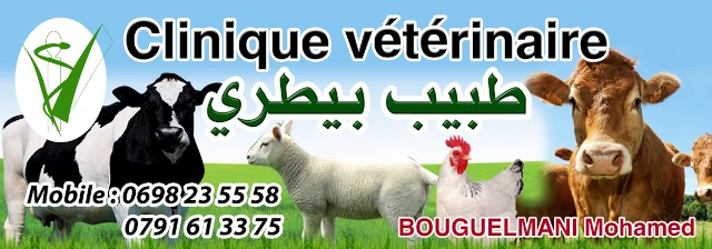 MOHAMED BOUGUELMANI
