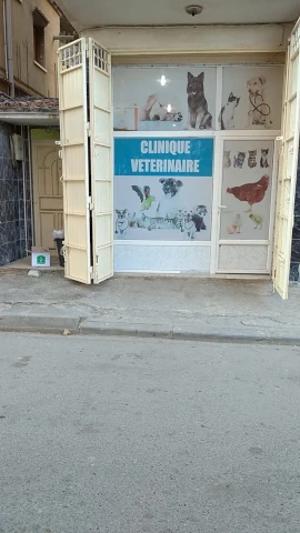 CHABA  BTM
