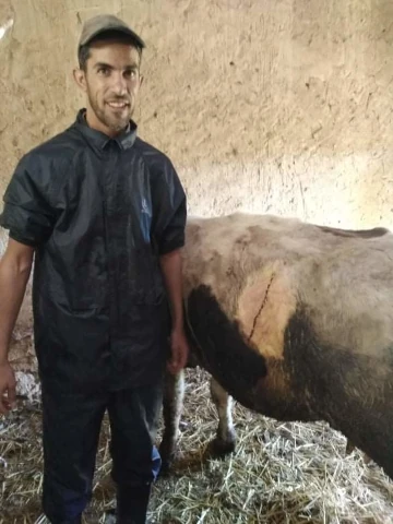 Docteur LAKHDAR HALFAOUI