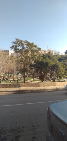 Docteur FATIHA BEN GOUGAM CHIKHI