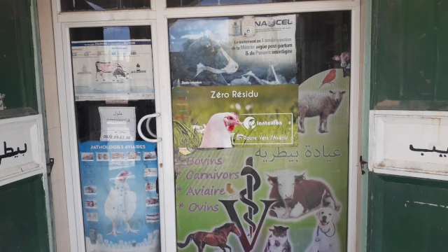 Docteur RIADH DJELOULE BOUMEZRAG