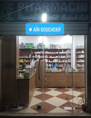 LARBI BOUCHAREB