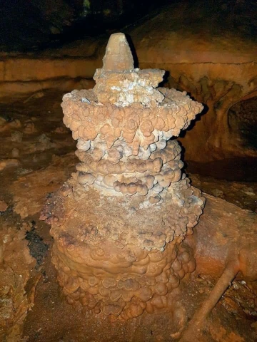 MESSAOUD DJERIBI