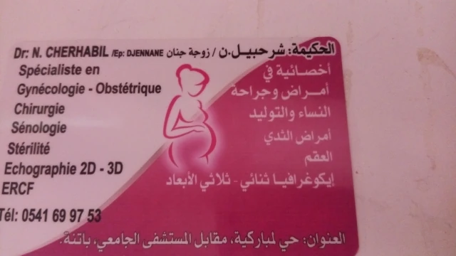 N CHERHABIL DJENNANE
