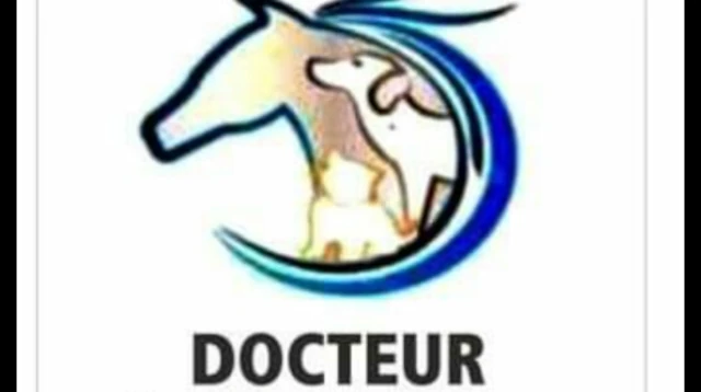 Docteur MOKRANI