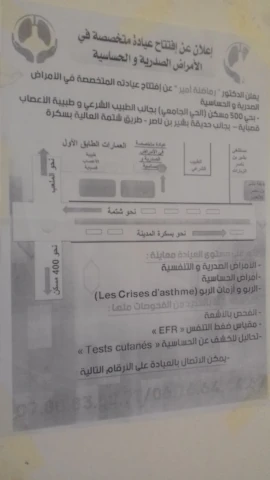 AMIR REMADNA