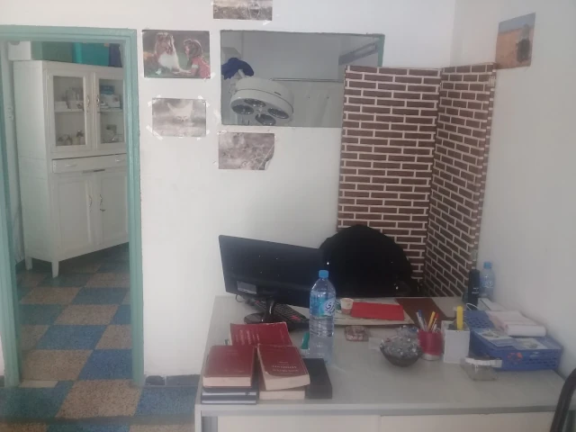ANIMOVET