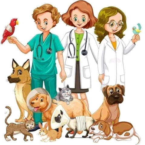 Docteur SAIDI