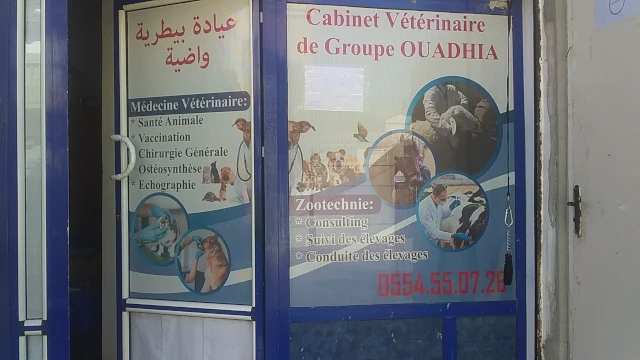 Docteur OUADIAH