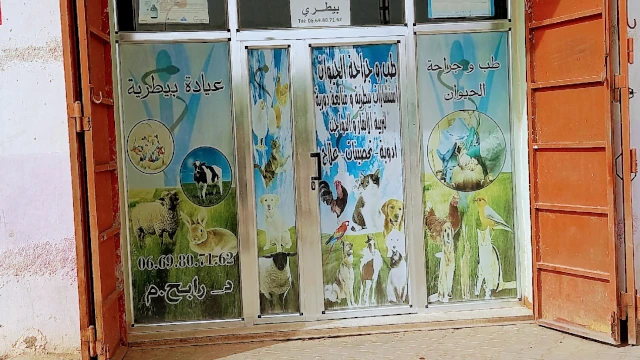 RABAH MEZZANE