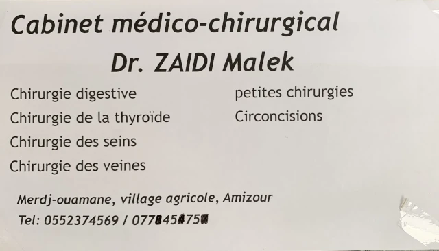 MALEK ZAIDI