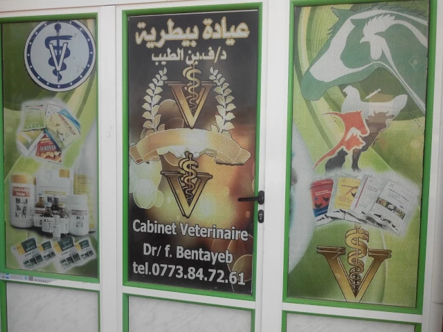 BEN TAYEB