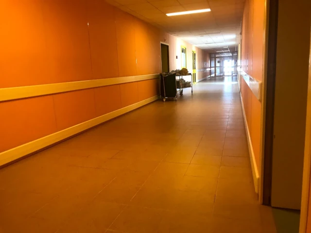 LES OASIS