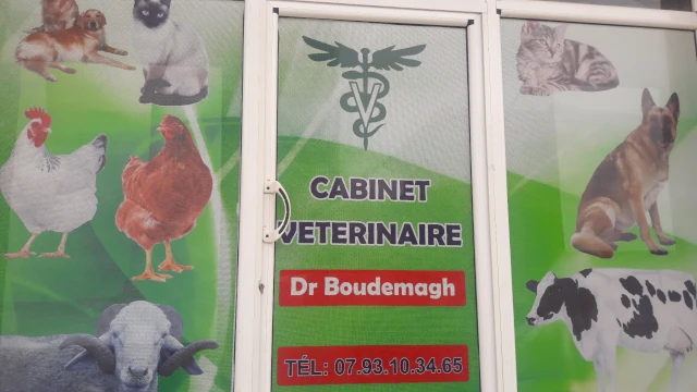 Docteur BOUDMAGH