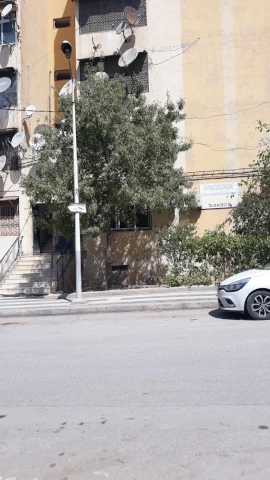 HANIFA LEILA BEN DALI NAMOUS