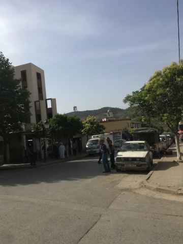 YAHIA HARIK