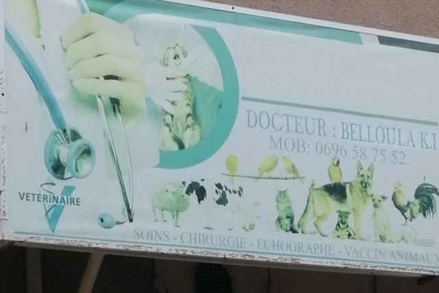Docteur K I BELLOULA