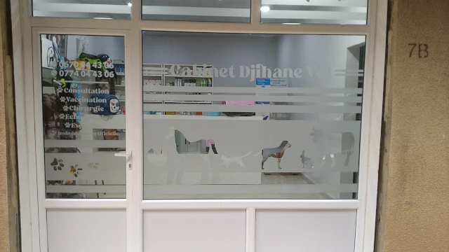 Cabinet DJIHANE VET
