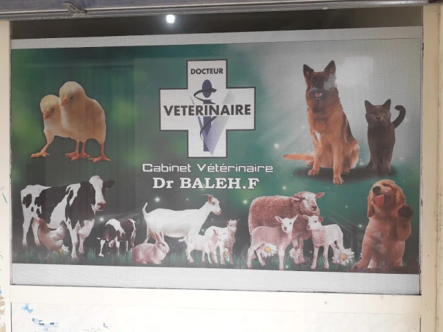 Docteur BALEH