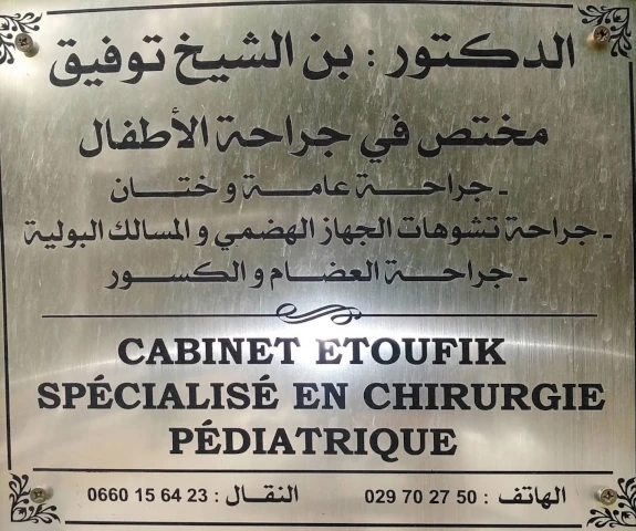 TOUFIK BEN CHEIKH  ETOUFIK