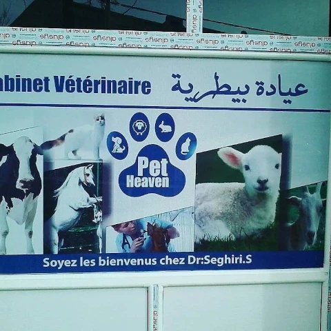 SEGHIRI