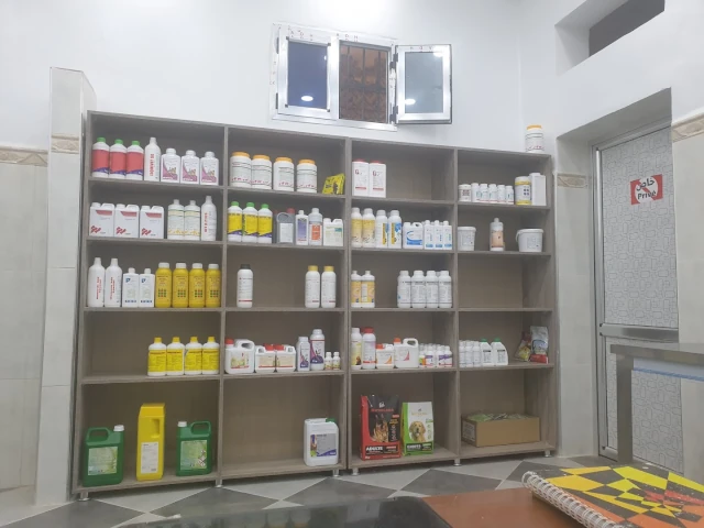 Docteur MOHAMED KHEIREDINE HACHEMI