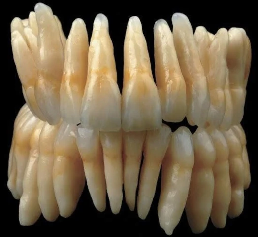 BILEL DJEBBARI  JUST SMILE