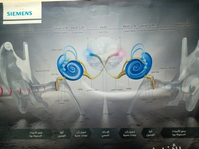 DJEDOUANI