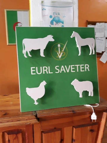 Cabinet SAVETER