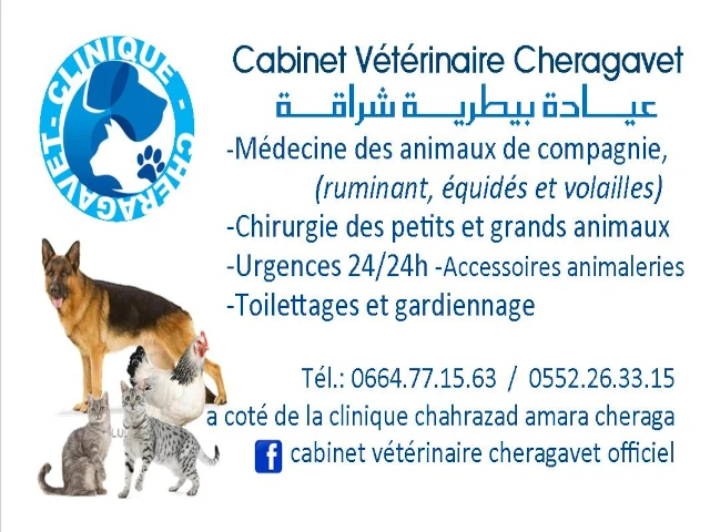Cabinet CHERAGAVET