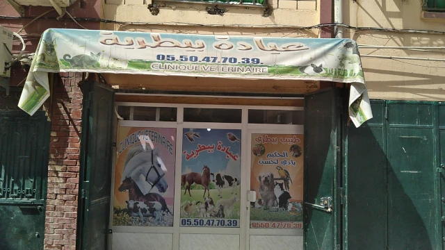 HASSEN BADI