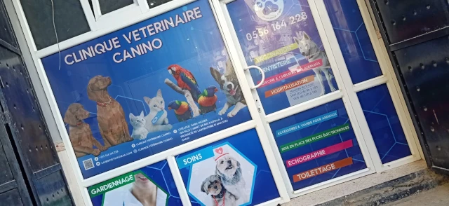 Cabinet CANINO