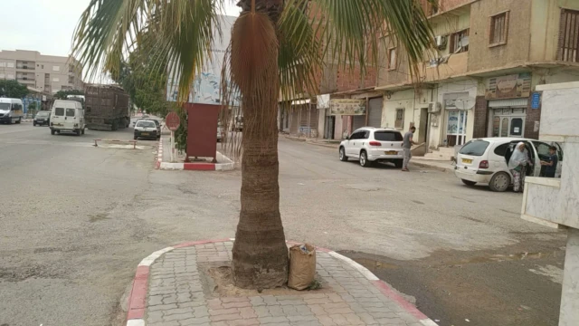 MAHIEDDINE BEN GHALIA