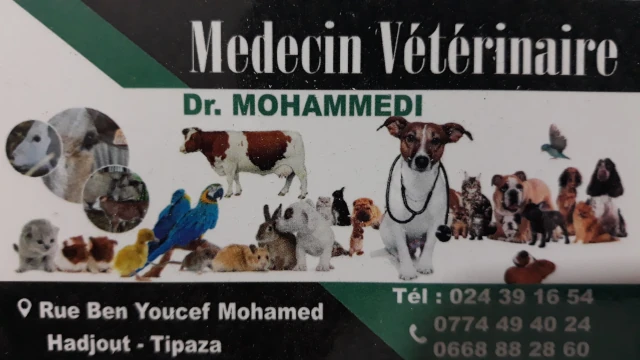 Docteur MOHAMMEDI