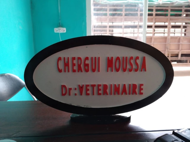 Docteur CHERGUI