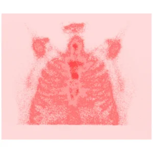 Docteur ZEGHLACHE
