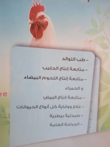 AF1QipM3WsC3_Fq1aM6ya_qMPi5AjKgQEoXw78wPr9Qzw1920-h1080-k-no.webp