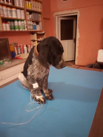 AF1QipMKHSXGhHG5FZxmsVGxTe5uHBM3PBmybhq_05OOw1920-h1080-k-no.webp